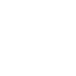 wheel-icon wheel-icon