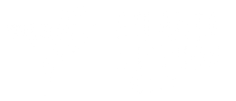 Client-logo-atlanta-audubon-768x329