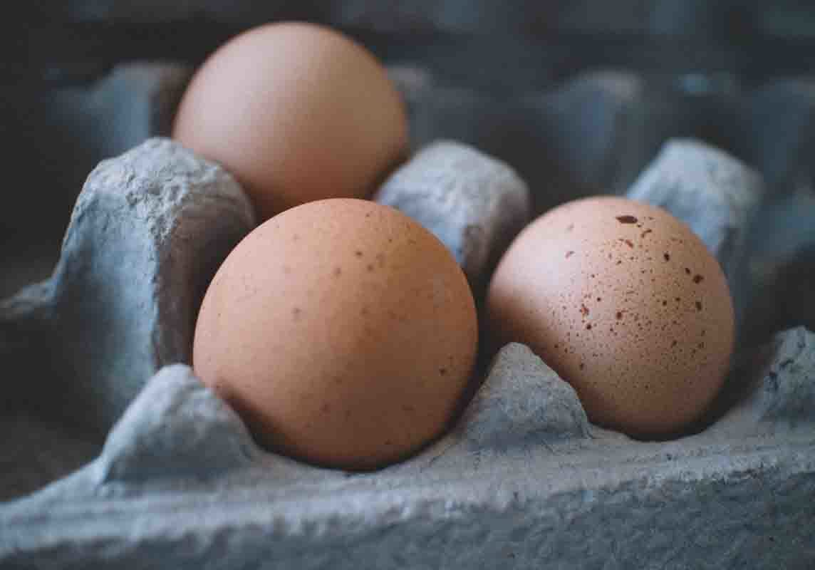 eggs