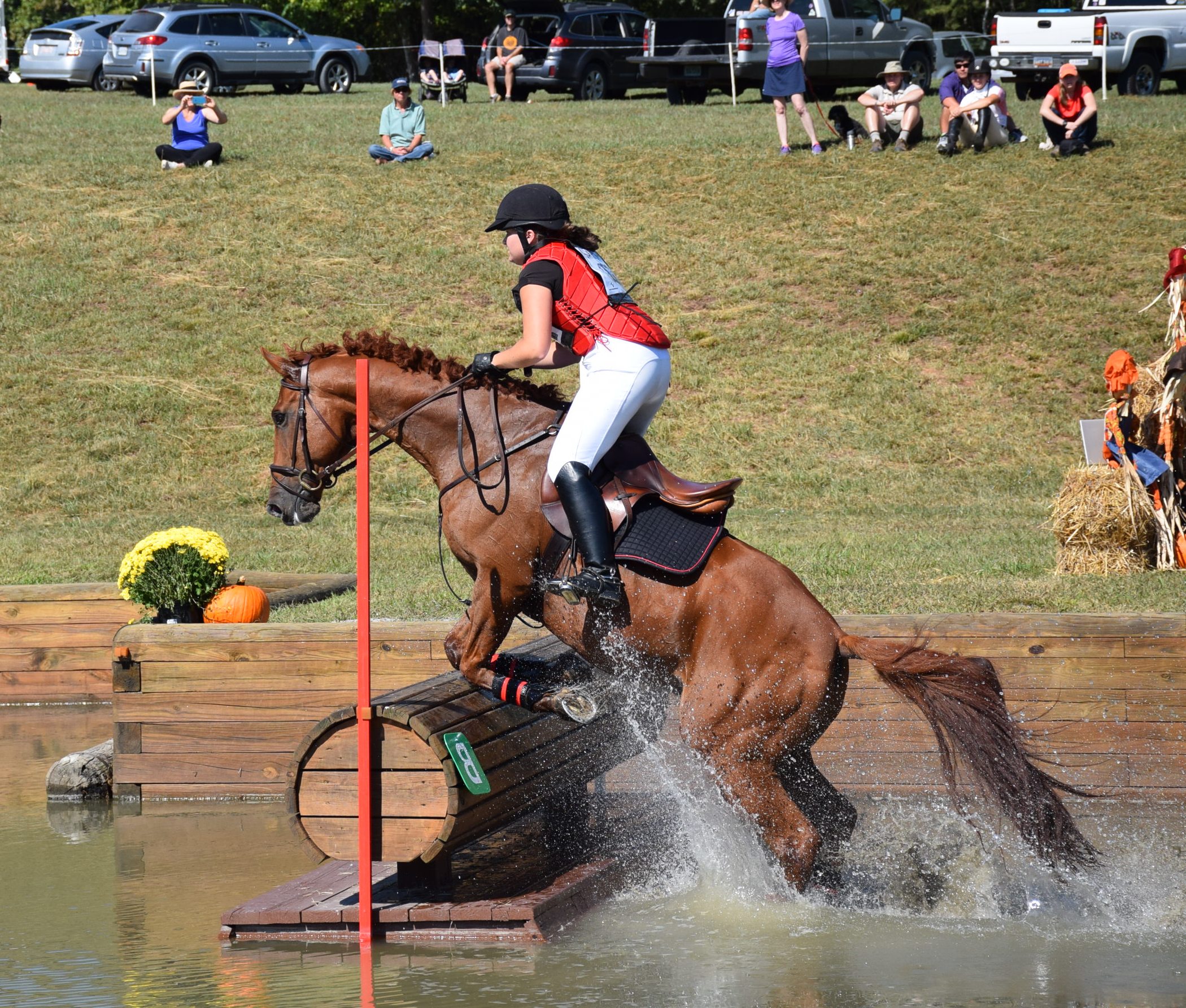 45th “Morris the Horse” Trials Tryon Riding and Hunt Club, Tryon
